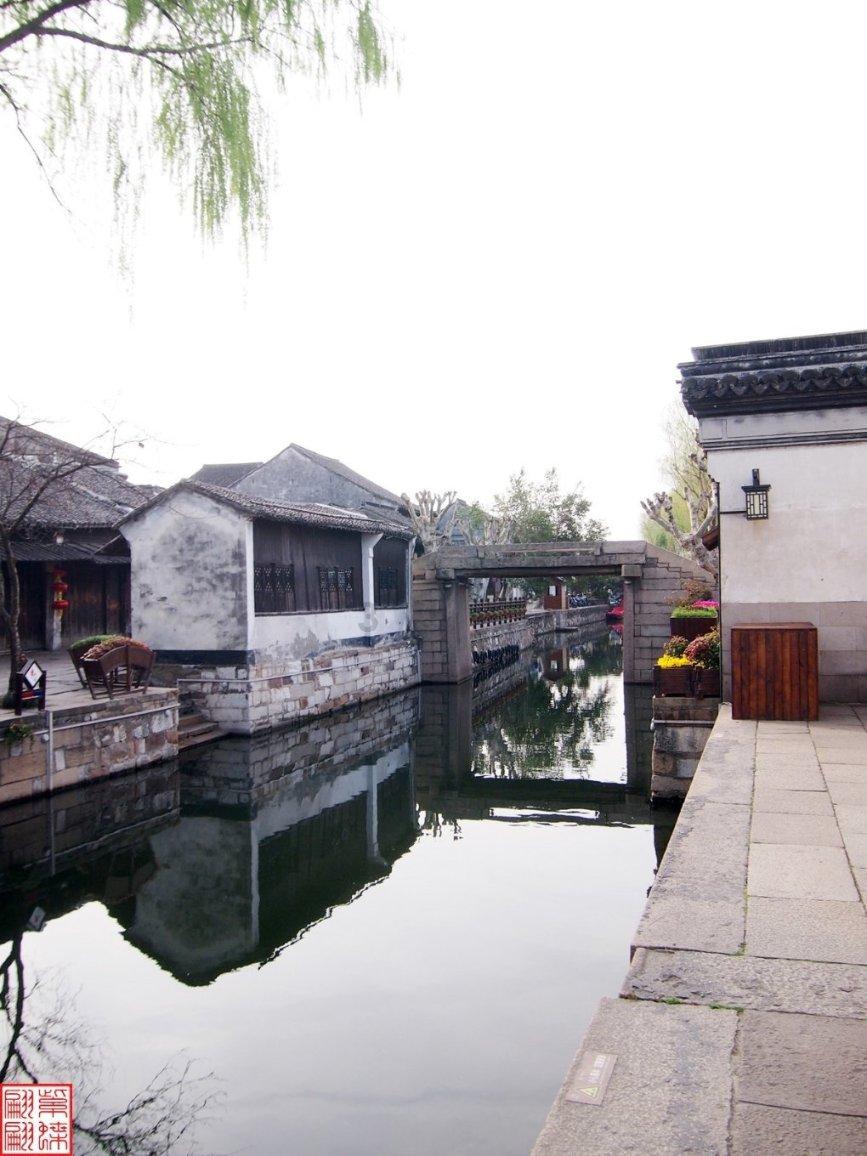 幸福柏杨 喜迎新春